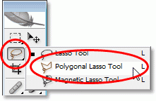 polygonal lasso tool  1
